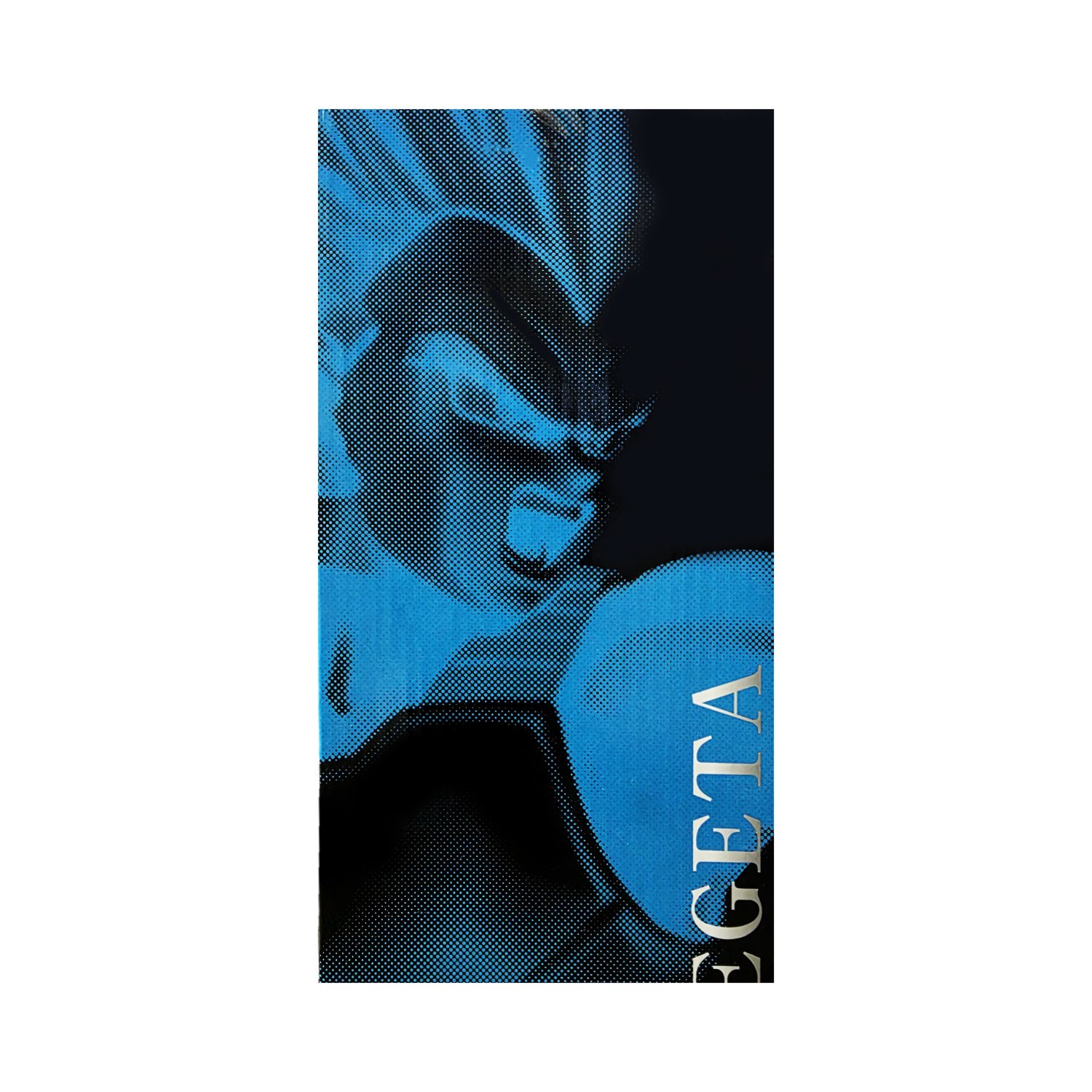 Ichiban Kuji Dragon Ball Super Saiyan God Super Saiyan Vegeta B Prize Figure
